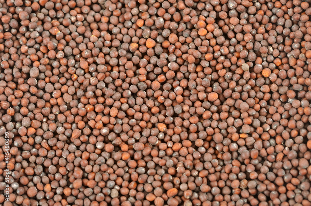 Fototapeta premium Brassica nigra black mustard seeds the background. Photo close up, from above .