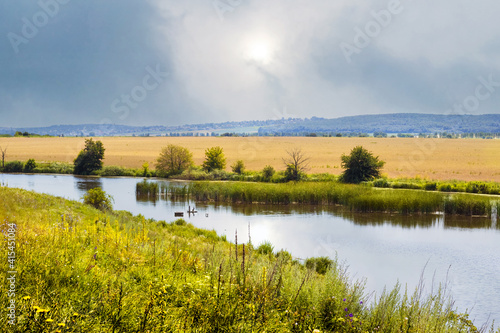 Summer landscape with river and wheat field in the distance, grass on the shore river