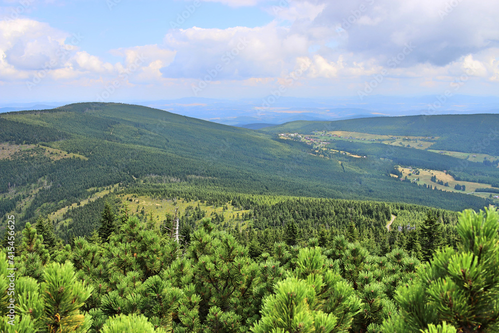 Panorama of the Karkonosze in the summer. Juicy green mountain vegetation. Trees and mountain pine. Clouds over the mountains 