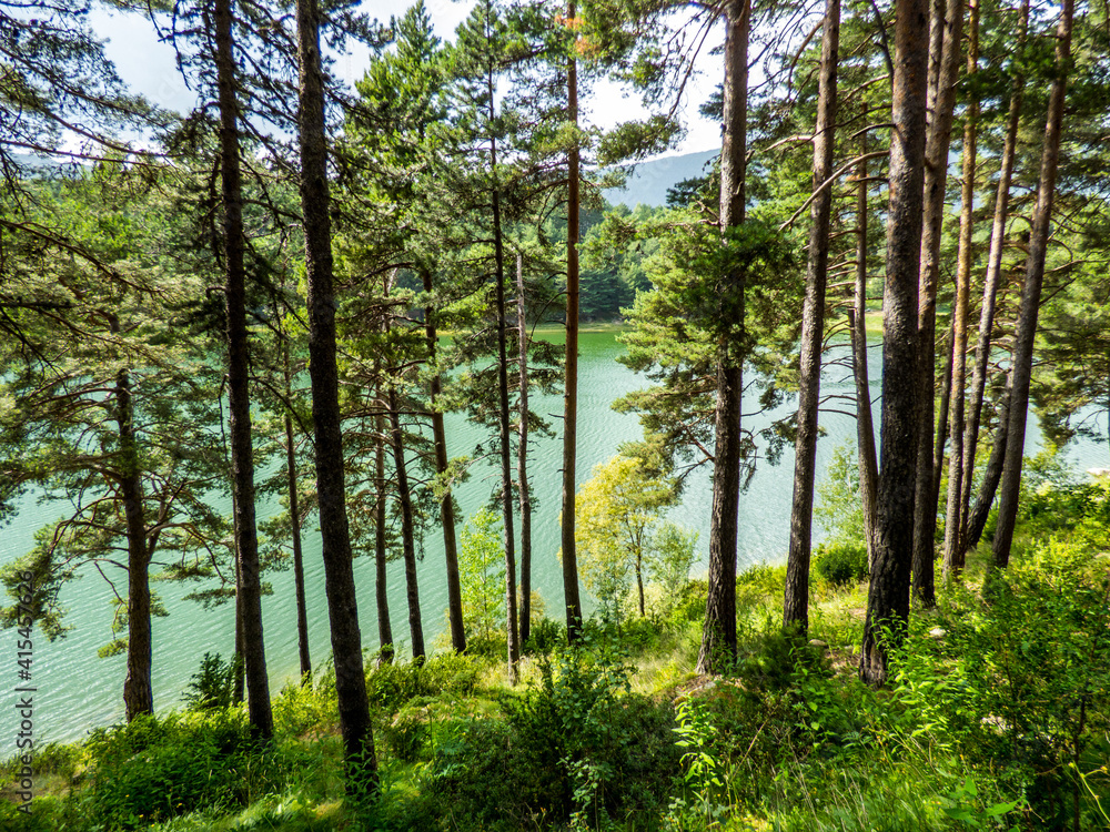 Naklejka premium El lago de Engolasters entre la vegetación de sus orillas. Andorra