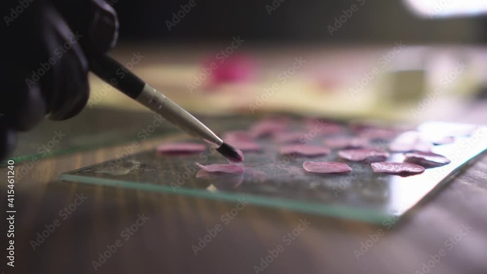 Working process, creation of polymer clay flower. Craftsman uses brush. Close up, soft selective focus. Working process, creation of polymer clay flower. Craftsman uses brush. Close up, soft selective focus.