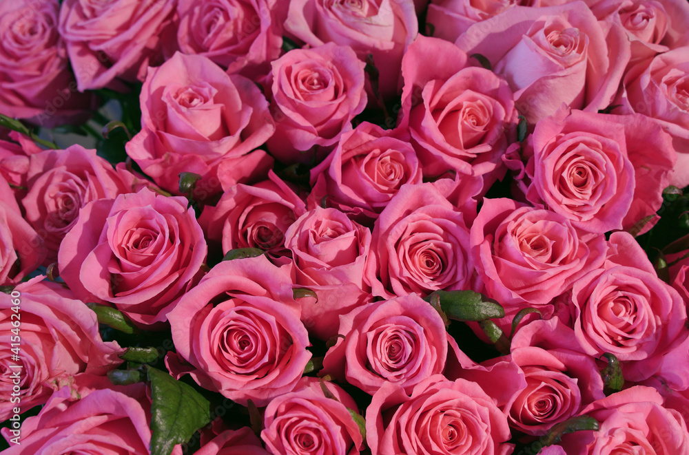 Beautiful bouquet of fresh pink roses in full bloom, close up. Bunch of flowers. Valentine's day or Mother's day, love concept. Beautiful bouquet of fresh pink roses in full bloom, close up. Bunch of flowers. Valentine's day or Mother's day, love concept.