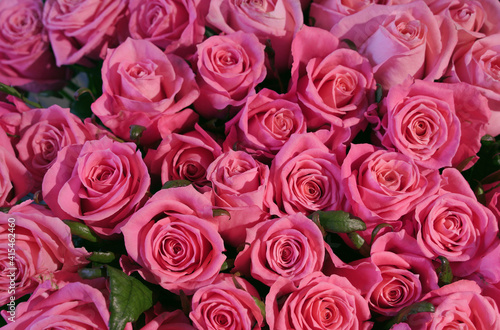 Beautiful bouquet of fresh pink roses in full bloom, close up. Bunch of flowers. Valentine's day or Mother's day, love concept.