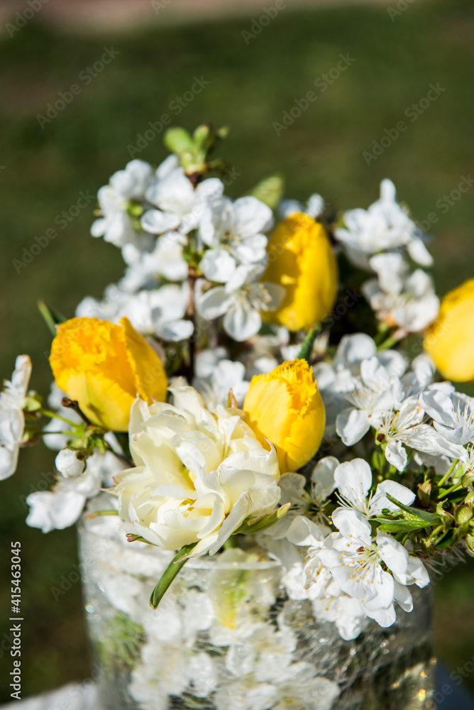 Blooming spring flowers in vase on table. Closeup photo Blooming spring flowers in vase on table. Closeup photo