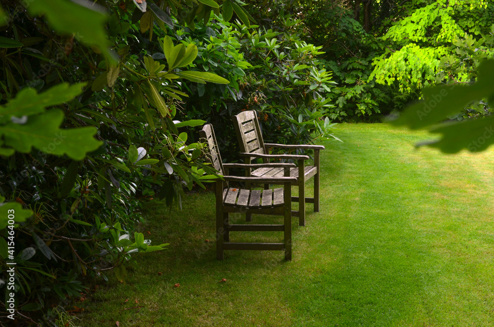 Chairs in garden