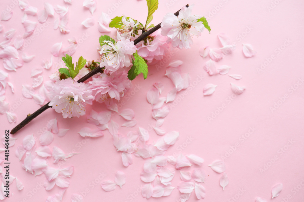 springtime. mockup of a spring postcard. blooming branch of pink sakura on pink background and space for text 