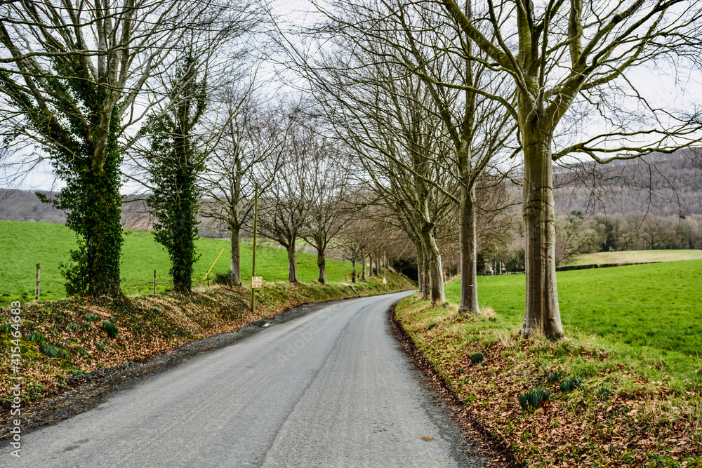 A rural road in wintertime Wales.