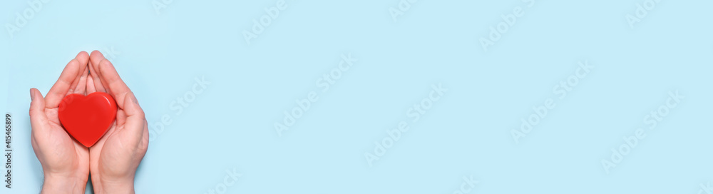 Red heart in man's hands isolated on blue background. Healthcare and hospital medical concept. Symbolic of Valentine day.Top view with space for text. Banner Red heart in man's hands isolated on blue background. Healthcare and hospital medical concept. Symbolic of Valentine day.Top view with space for text. Banner
