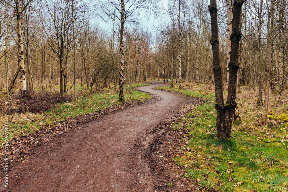 walk around national forest in england, city moira ,hicks lodge