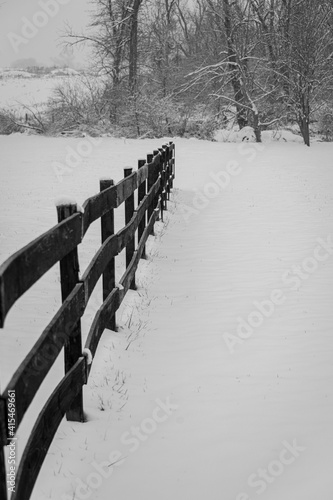 Fence in the snow
