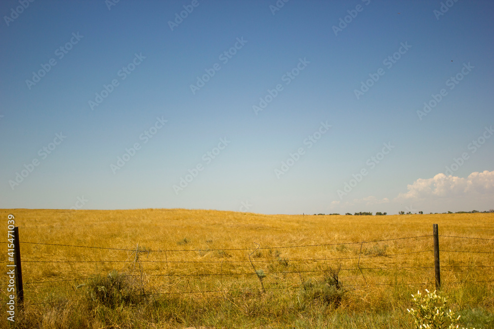 Fototapeta premium sunset over the field