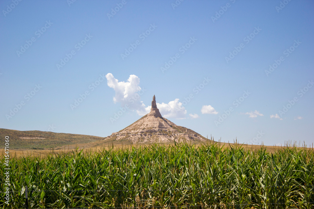 field of wheat near Chimney rock