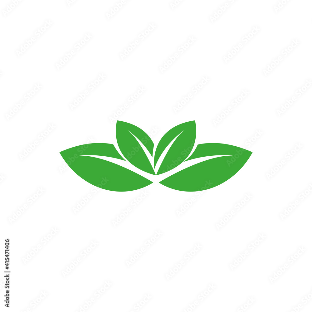 Two big two small green leaves. Vector drawing