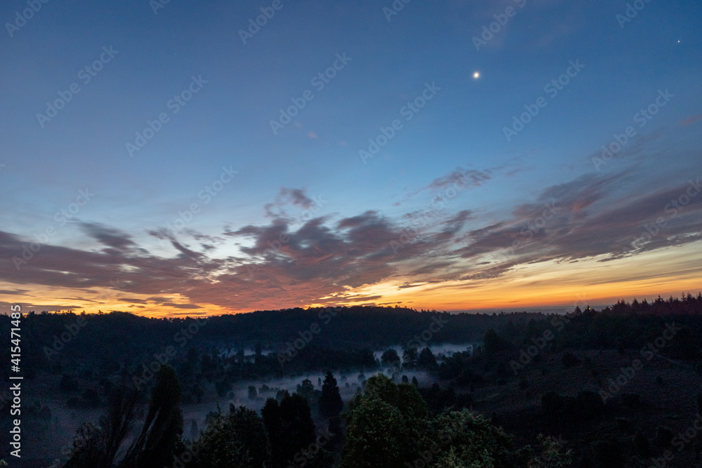 Obraz premium Lüneburger Heide