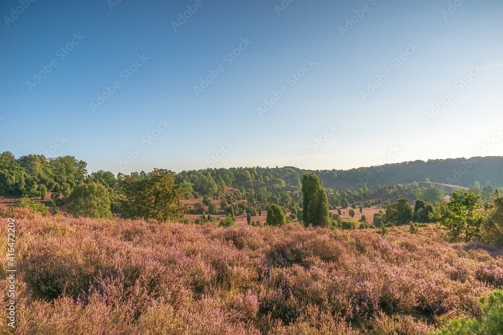 Lüneburger Heide Lüneburger Heide