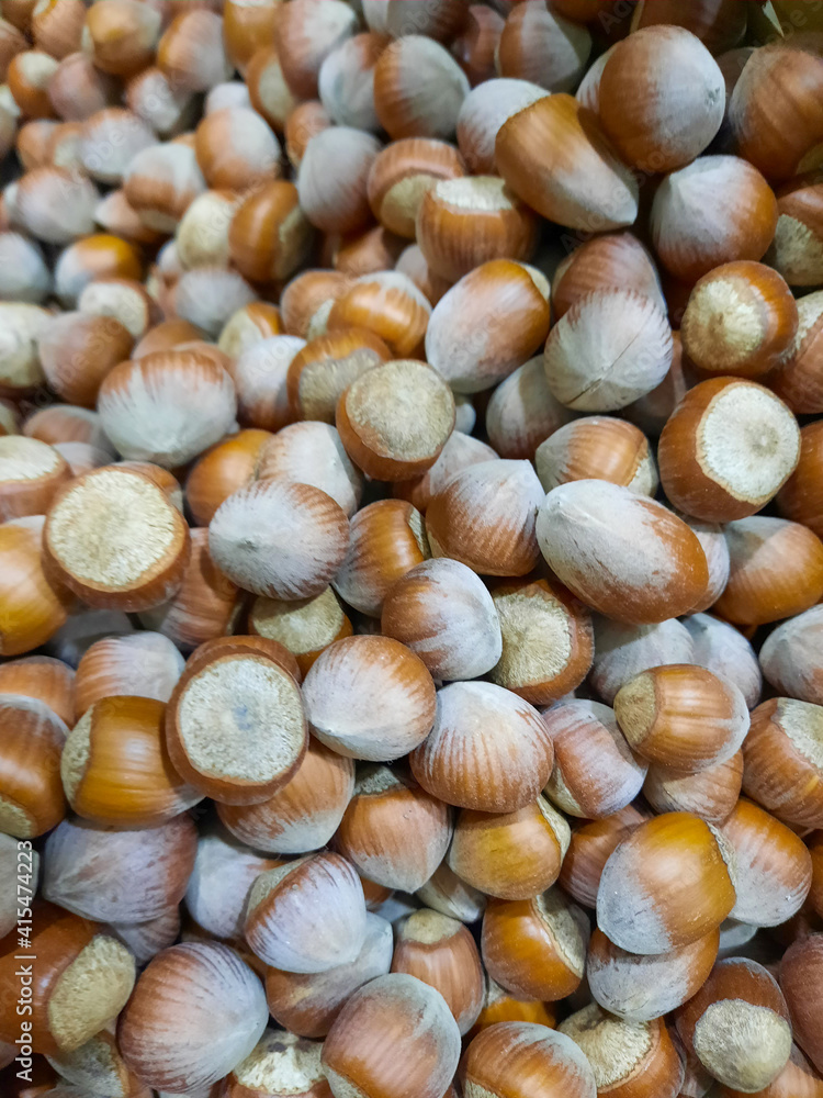Dried unshelled hazelnuts seeds of Whole nuts as background. Macro Organic Hazelnut.