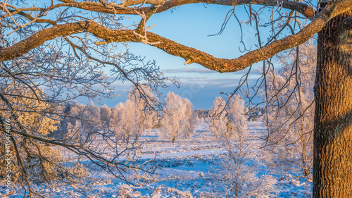 Lüneburger Heide