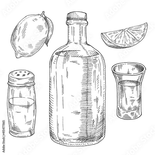 Glass and bottle of tequila. Salt shaker and lime. Hand drawn sketch illustration.