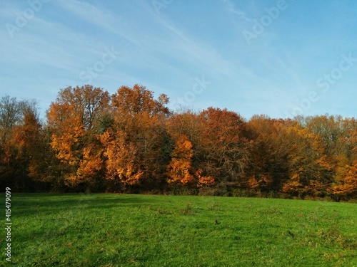 Fall in Burgundy's countryside, France - November 2017