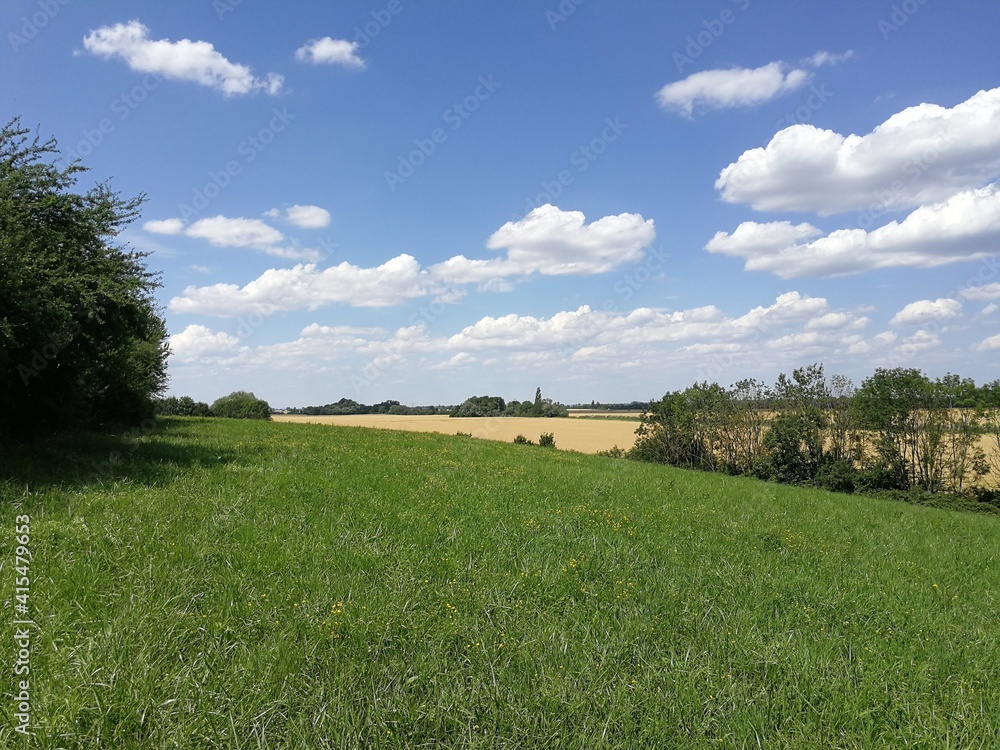 Summer in Burgundy's countryside, France - July 2019 Summer in Burgundy's countryside, France - July 2019