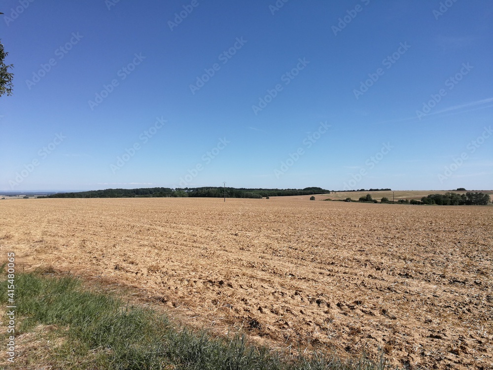 Summer in Burgundy's countryside, France - July 2019 Summer in Burgundy's countryside, France - July 2019