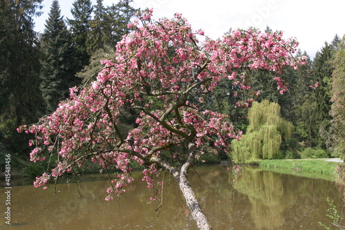 pictures from the spring of the Czech Republic