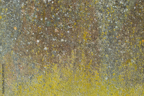 old,cement,wall,with,molds