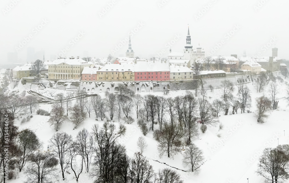 Panorama of winter Tallinn.