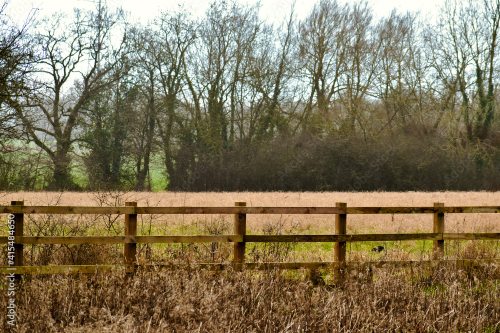 Wooden fence in the field, Solihull, England