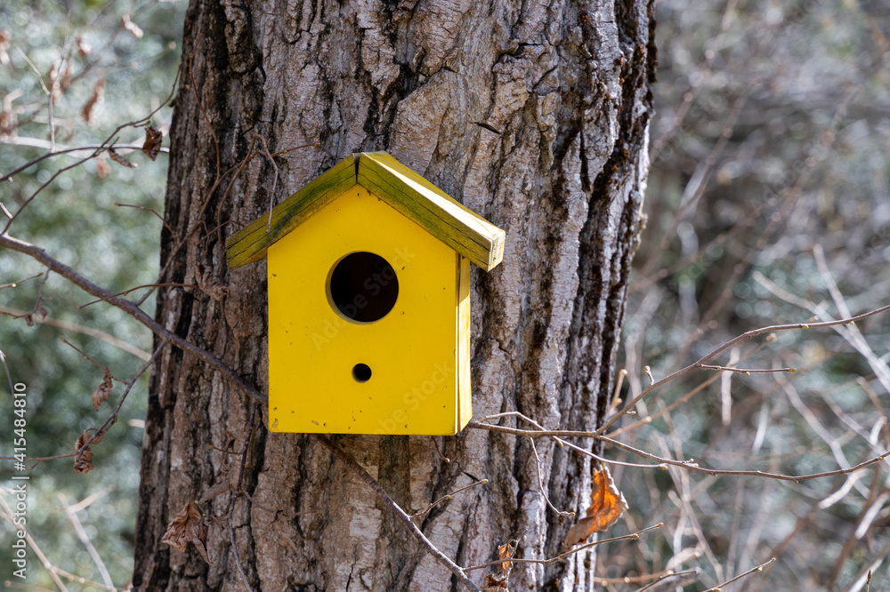 colorful bird house hanging from a tree trunk in the park colorful bird house hanging from a tree trunk in the park