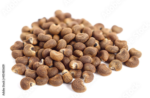 Ambrette Seed (Abelmoschus Moschatus). Also known as Abelmosk, Bamia Moschata, Galu Gasturi, Muskdana, Musk Rose Mallow, Musk Yorka Ornamental Okra, Tropical Jewel Annual Hibiscus. Isolated on White.