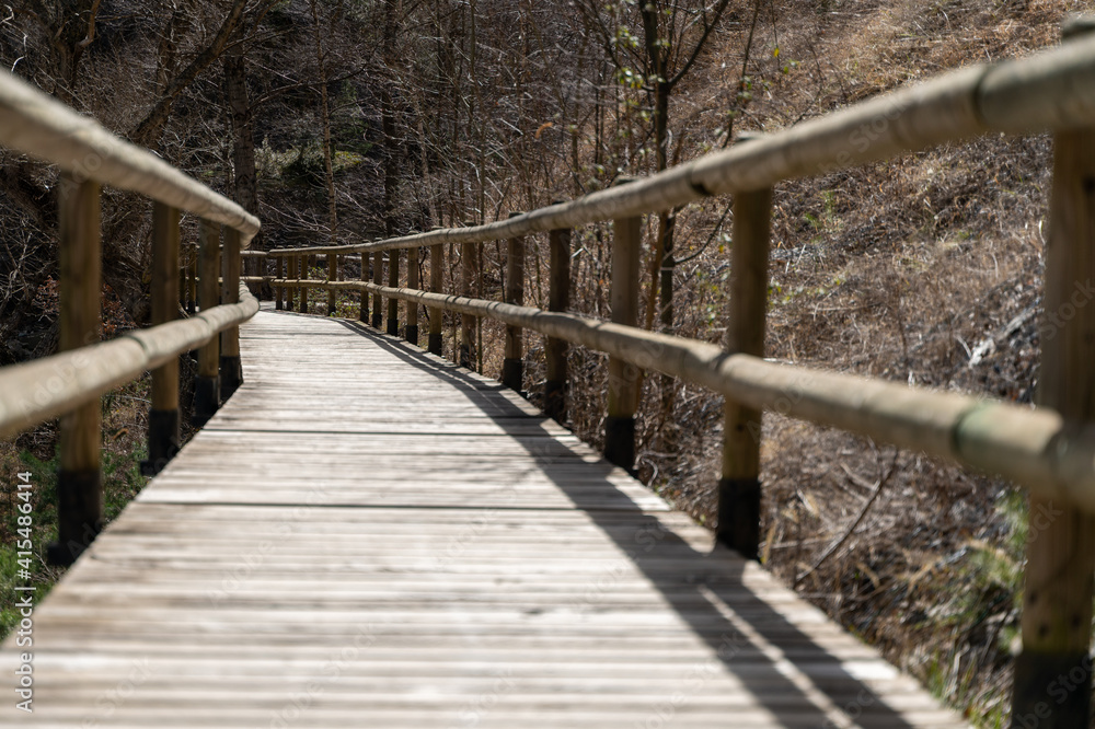 
trail with round wood edges in the forest