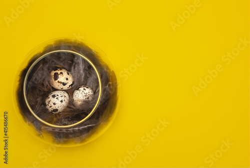 Quail eggs and feathers in glass vase on yellow background