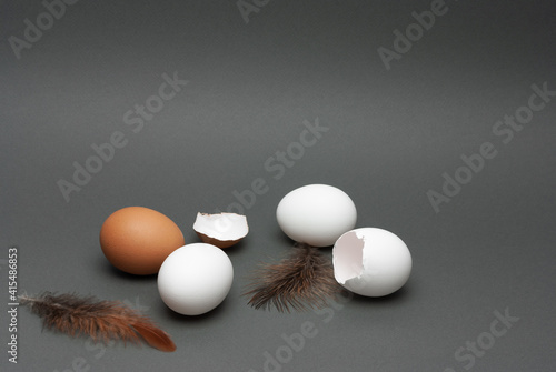 Chicken eggs, whole and broken