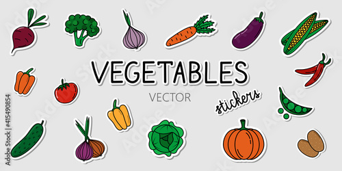 Set of vector vegetables stickers. Collection of cartoon elements with shadows on the grey background. Colorful stickers with healthy food.