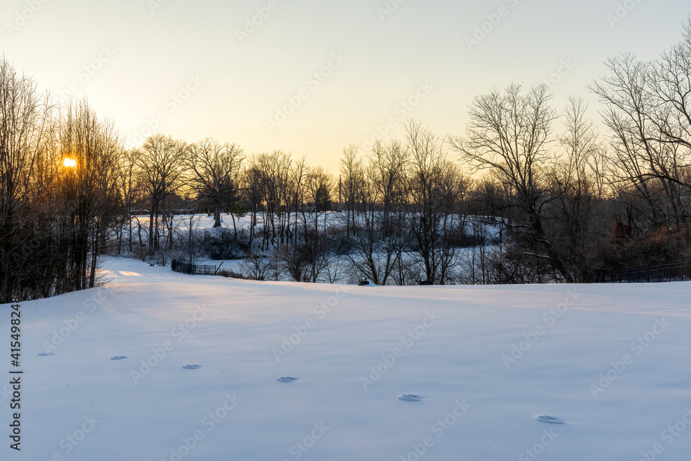 in a Forest with a Frozen Pond and Footsteps in Snow at Sunset