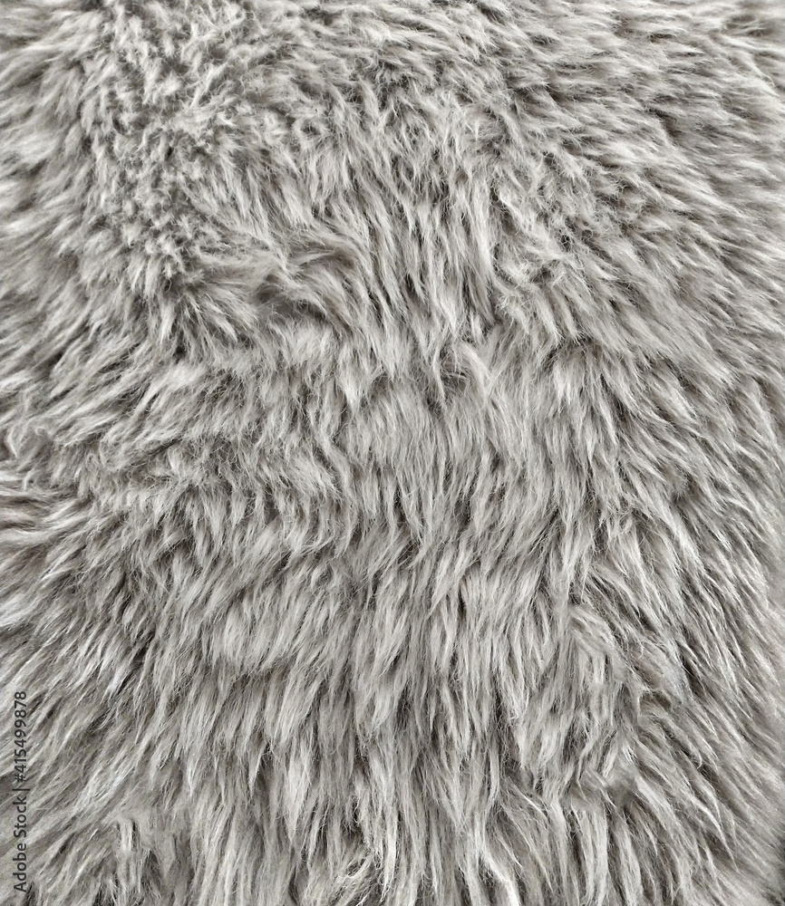 Obraz zwierzęca tekstura futra, miękkie włochate tło