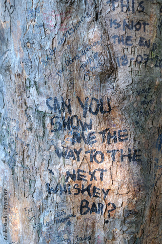 Bilde på lerret Tree at Jim Morrison's Grave, Pere-Lachaise Cemetery, Paris, France