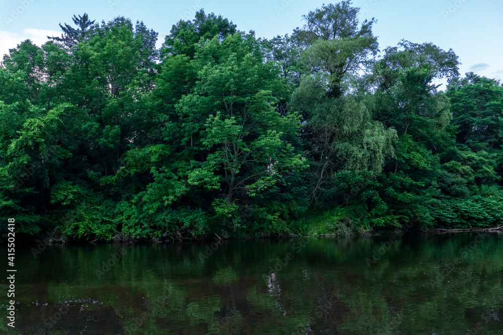 Reflection of trees in lake. Trees on river shore