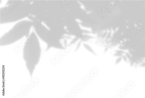 Summer background of plant shadows. Shadow of tree leaves on a white wall. White and black to overlay a photo or mockup. Vector