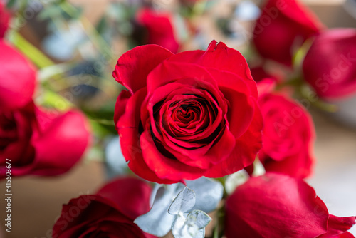 A rose with heart shaped petals in the middle for valentine s day