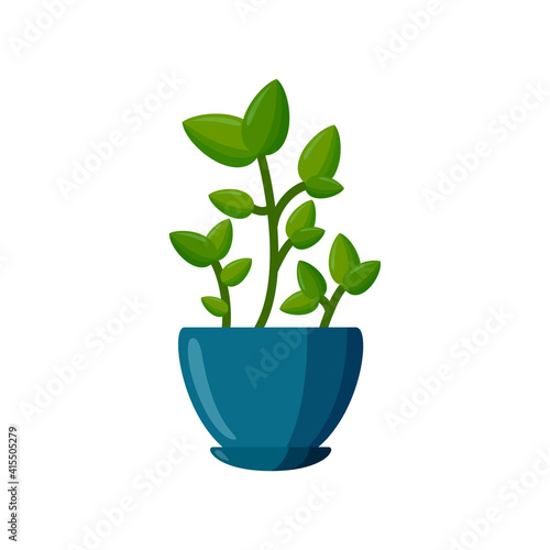 Potted plant. Green plant in cartoon style. Vector illustration isolated on white background