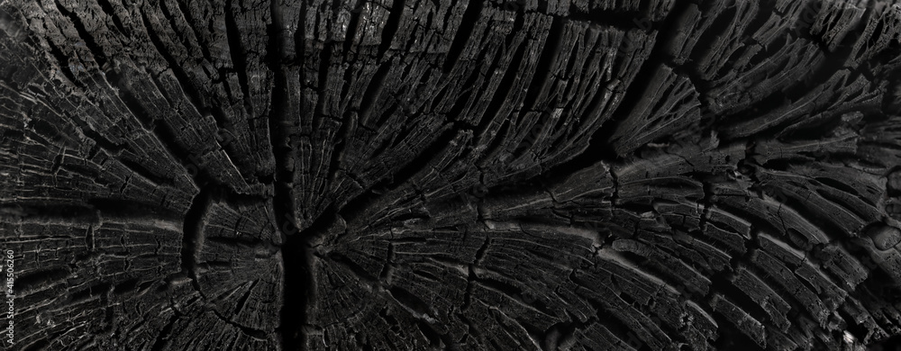Obraz premium Dark black background of a burnt tree, soot, and ash. Burn texture. Aftermath of a forest fire.