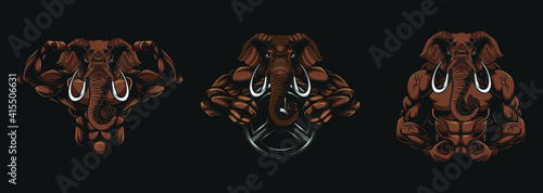elephant barbel, animal logo ilustration, illustration of a muscular elephant photo