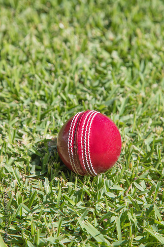 Red leather cricket ball on green grass