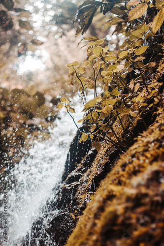 Waterfall in the forest. Cascada en el bosque. © Andreso