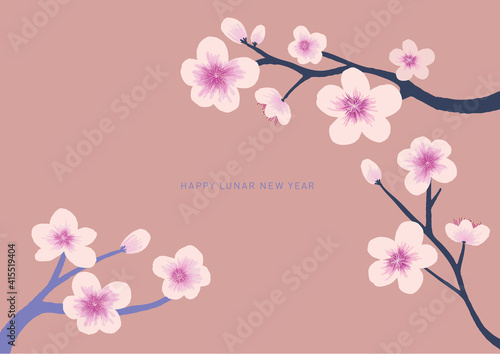 Hand Drawn Cherry Blossom Vector