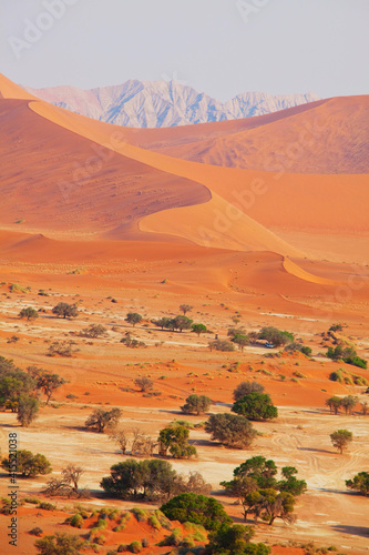 Sand desert in Namib