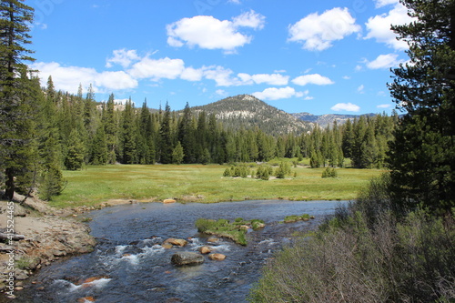 Yosemite narional park photo