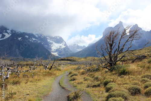 Camino en Parque nacional Torres del Paine, Chile